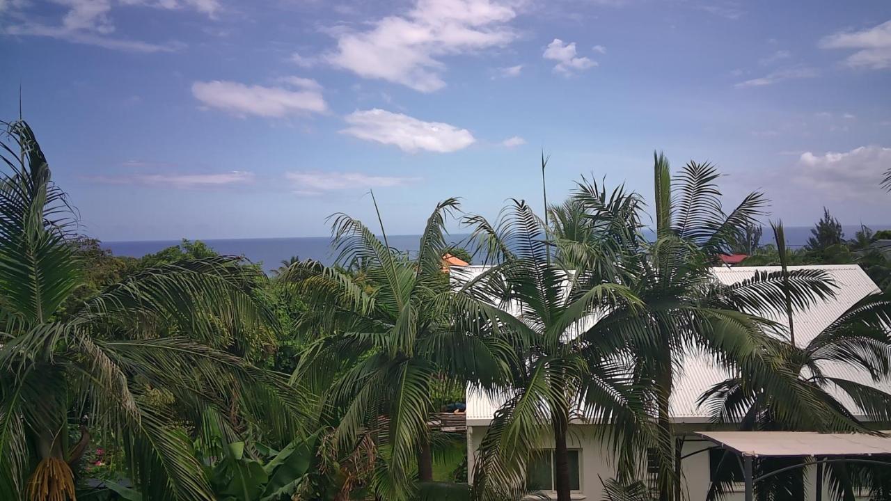 Un Petit Coin De Paradis A La Reunion Сен-Жозеф Экстерьер фото